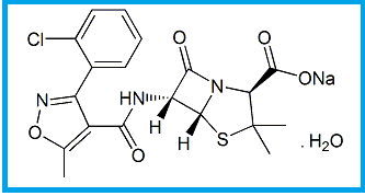 CLOXACILLIN SODIUM